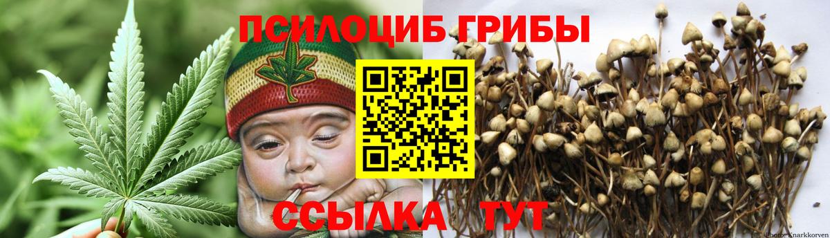 Галлюциногенные грибы мицелий  Вход с VPN  купить наркотики цена  Ишимбай 